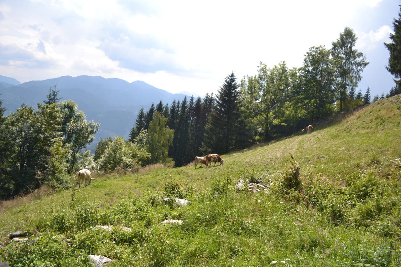 Gasthof Oberer Gesslbauer Stanz Im Murztal Экстерьер фото