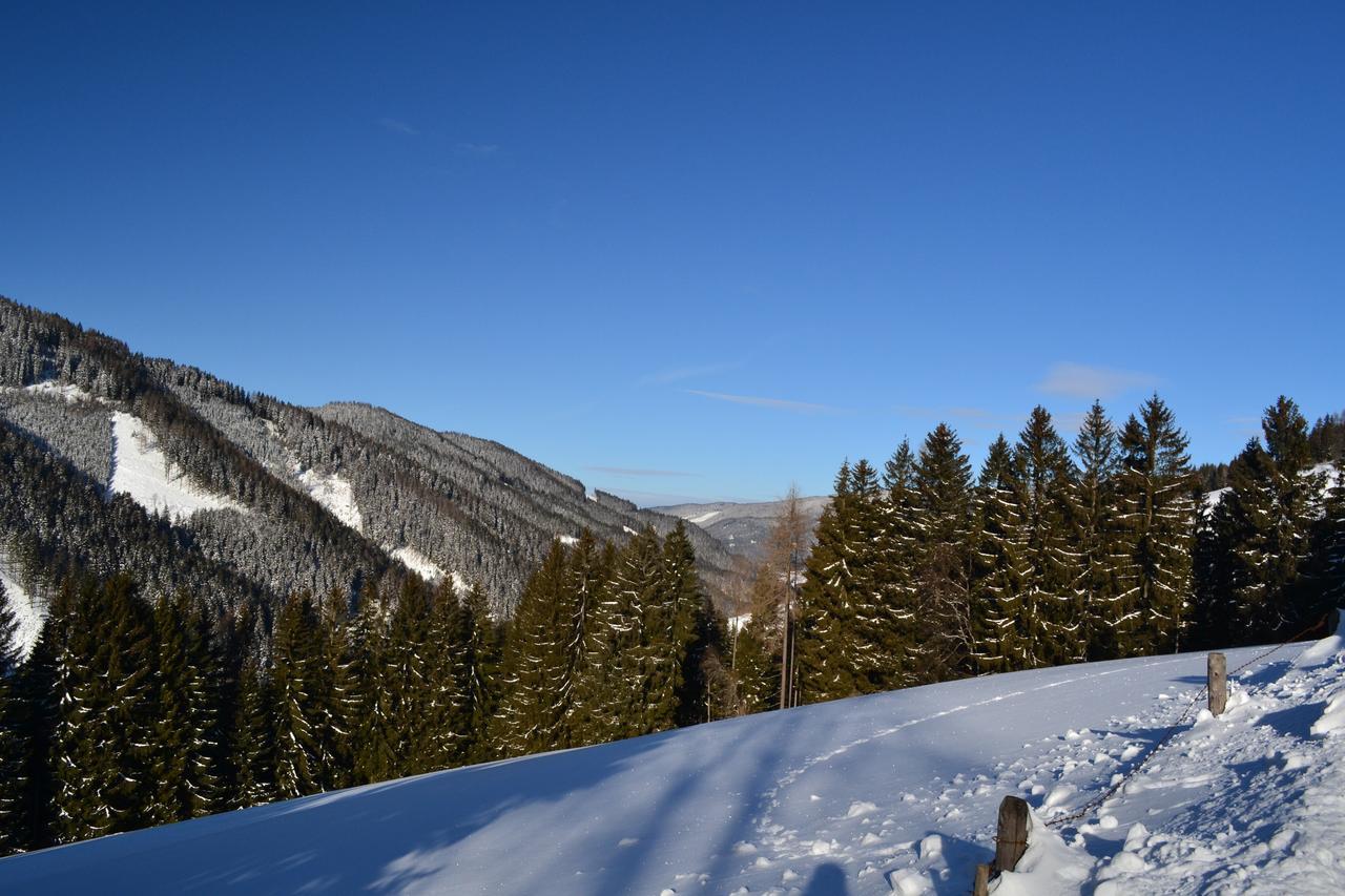 Gasthof Oberer Gesslbauer Stanz Im Murztal Экстерьер фото